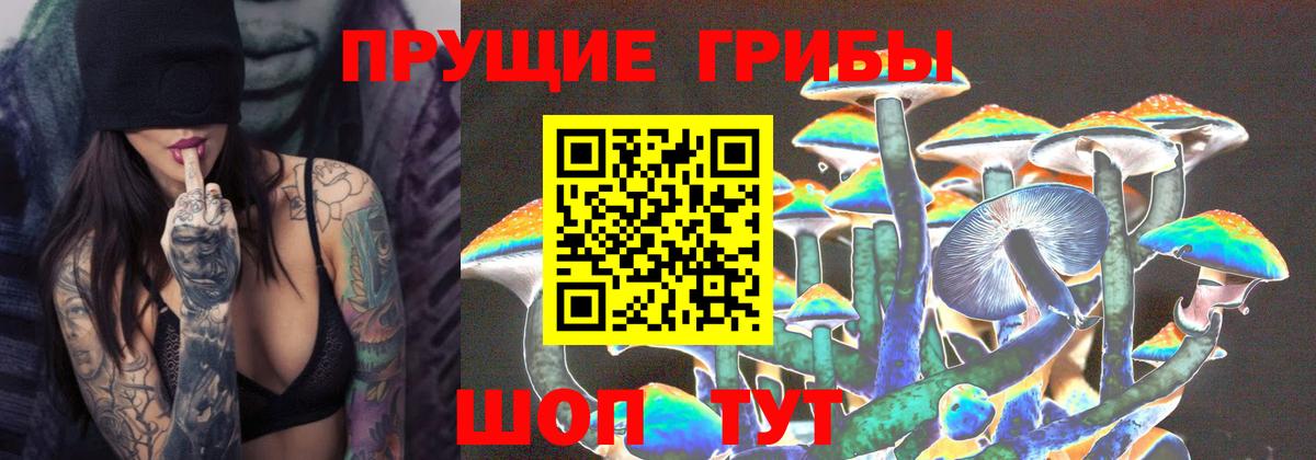Псилоцибиновые грибы мицелий Карачаевск